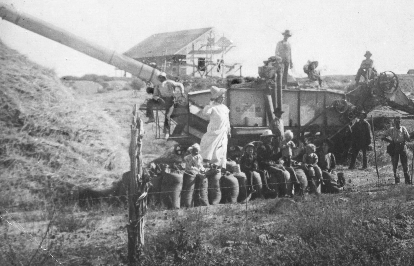 Cellular Rejuvenation Day Cream