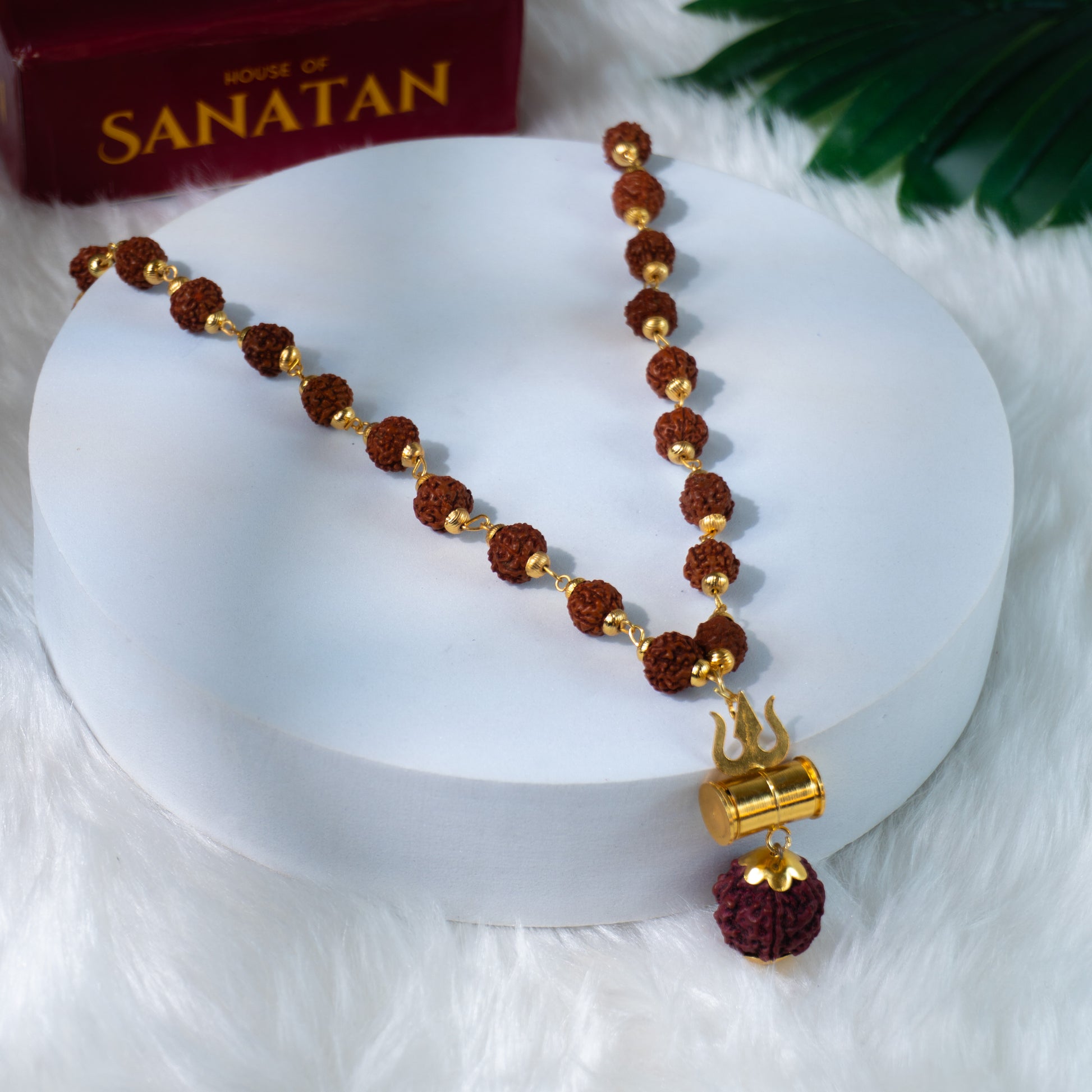 Cellular Renewal Night Elixir