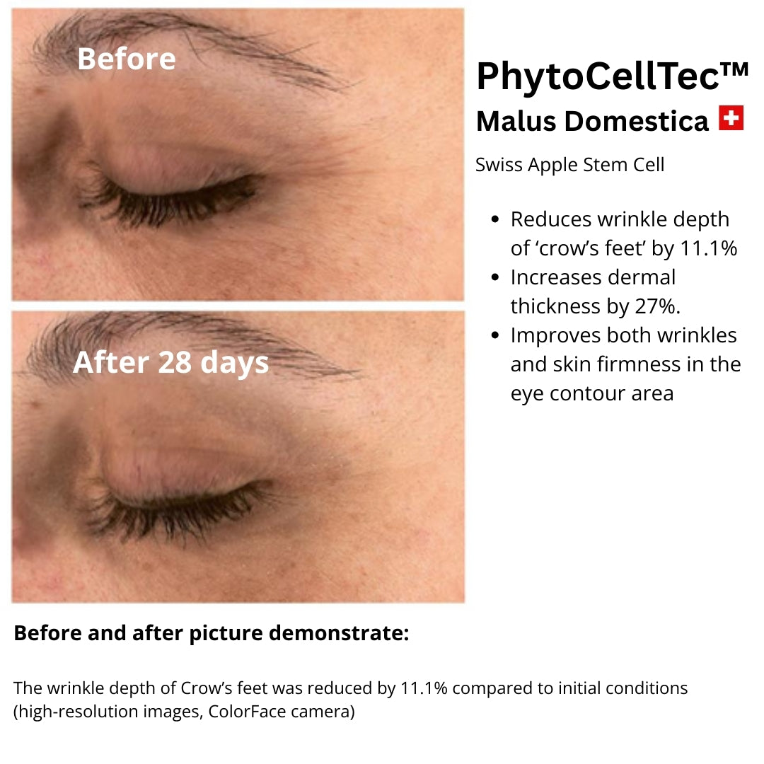 Cellular Rejuvenation Day Cream