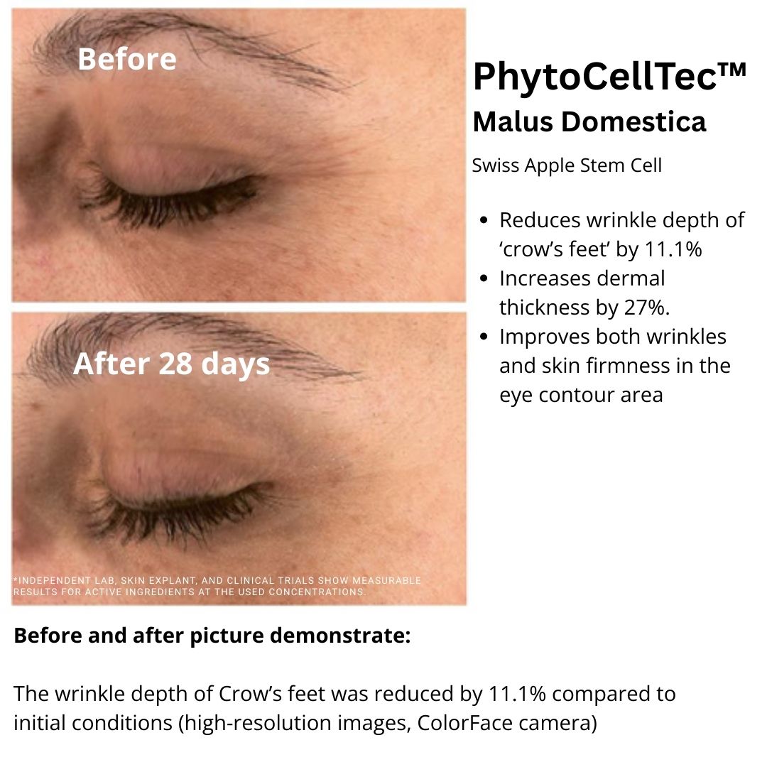 Cellular Rejuvenation Day Cream