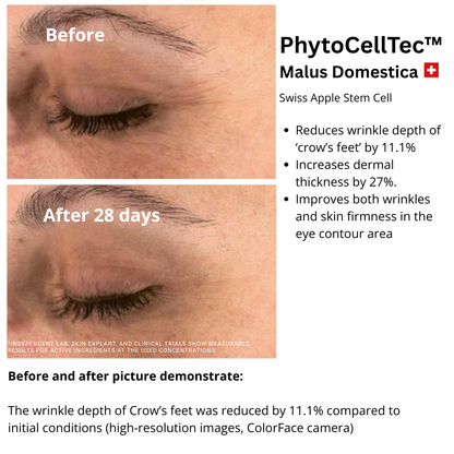 Cellular Renewal Night Elixir