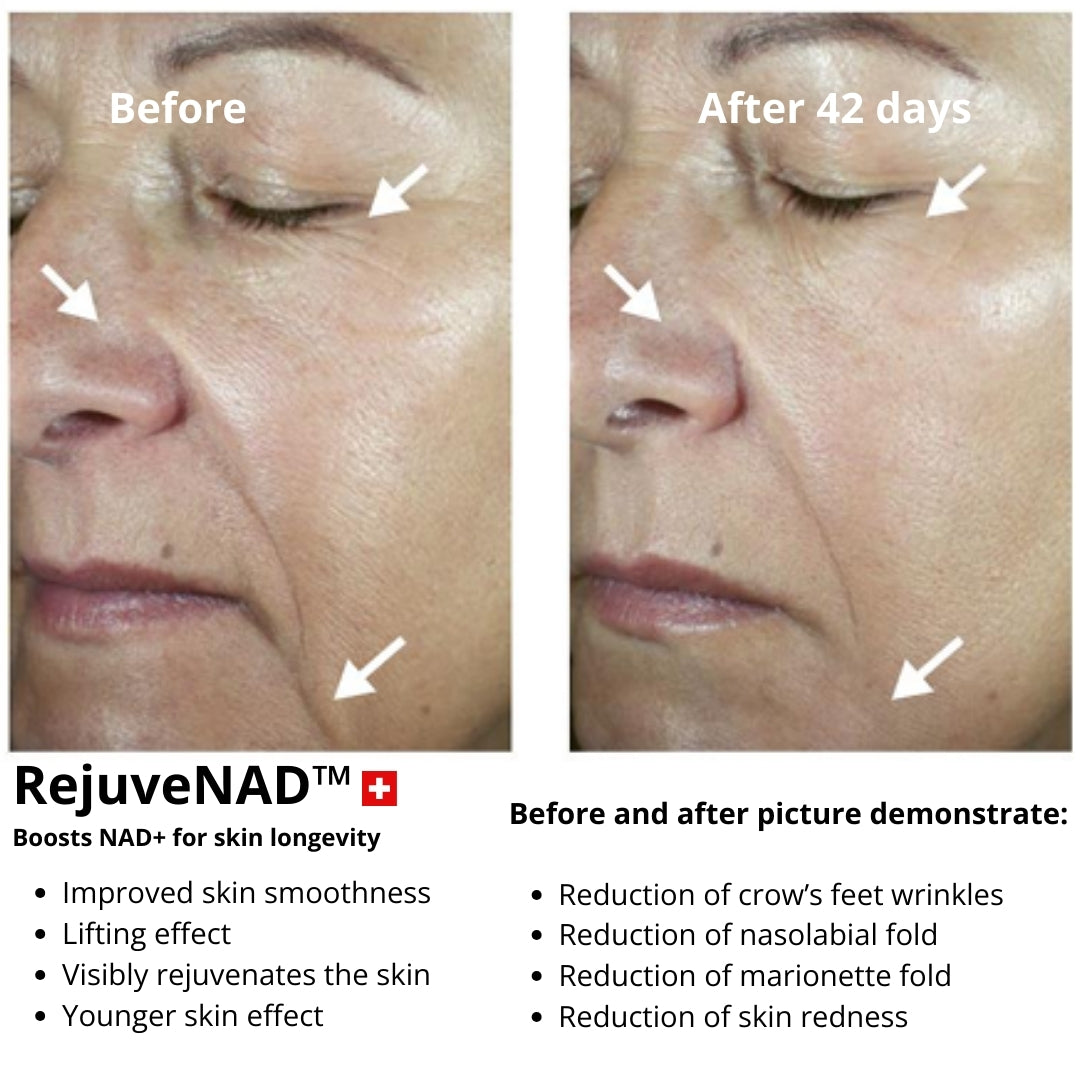 Cellular Rejuvenation Day Cream