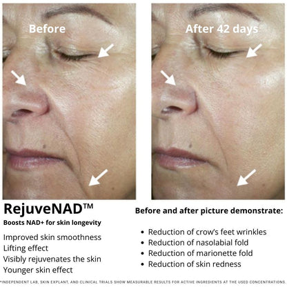 Cellular Rejuvenation Day Cream