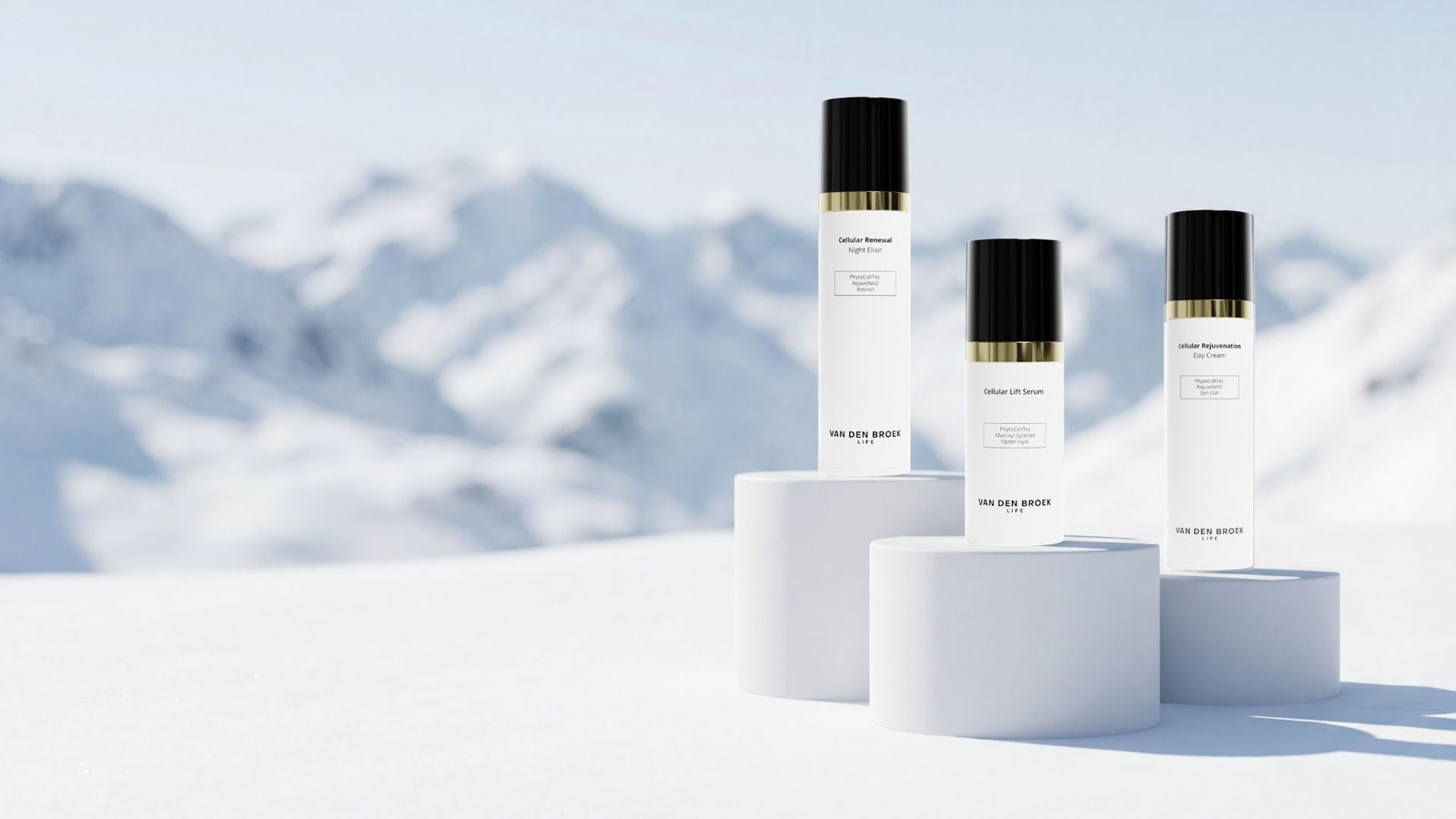 VAN DEN BROEK LIFE product image